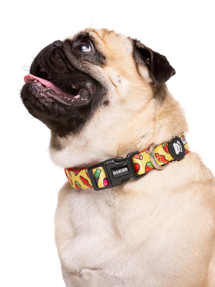 SWEETS DOG COLLAR
