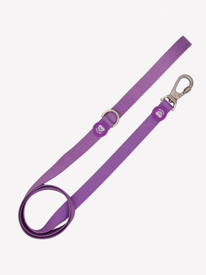 LAISSE PURPLE POUR CHIEN