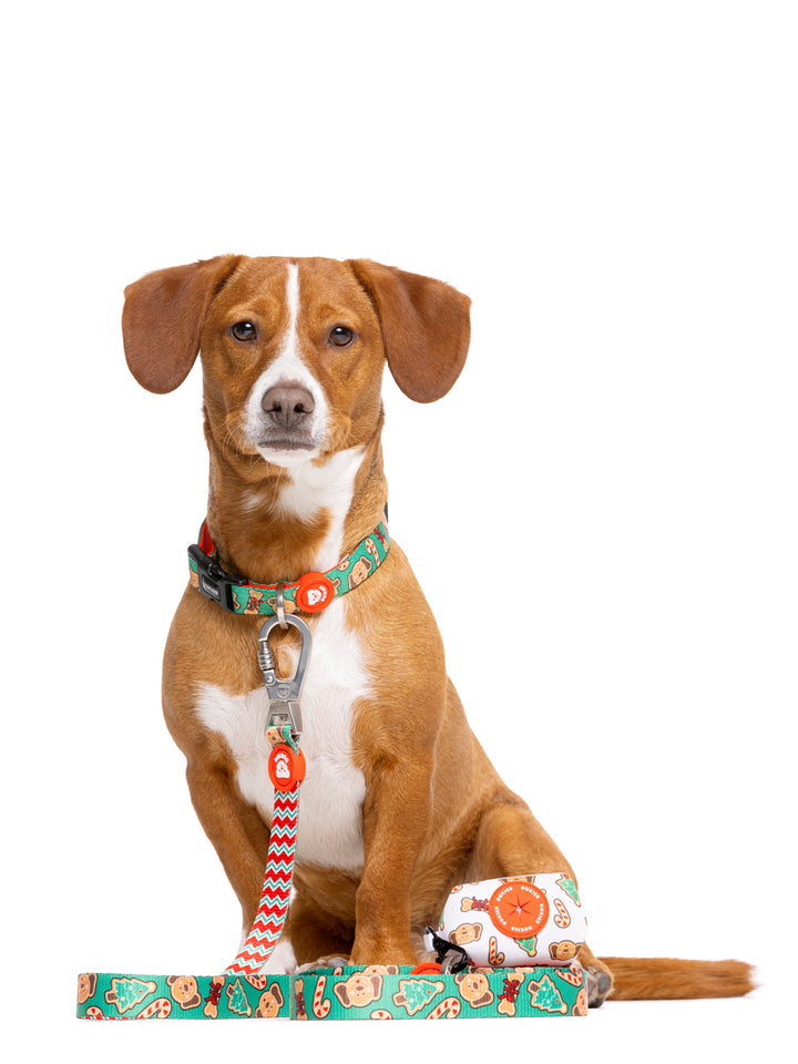 GUINZAGLIO PER CANI GINGER BREAD