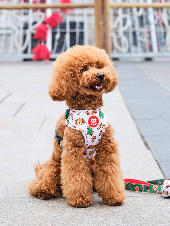 ARNÊS AJUSTÁVEL PARA CÃES GINGER BREAD