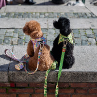 ARNESES PARA PERROS PEQUEÑOS