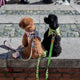 ARNESES PARA PERROS PEQUEÑOS