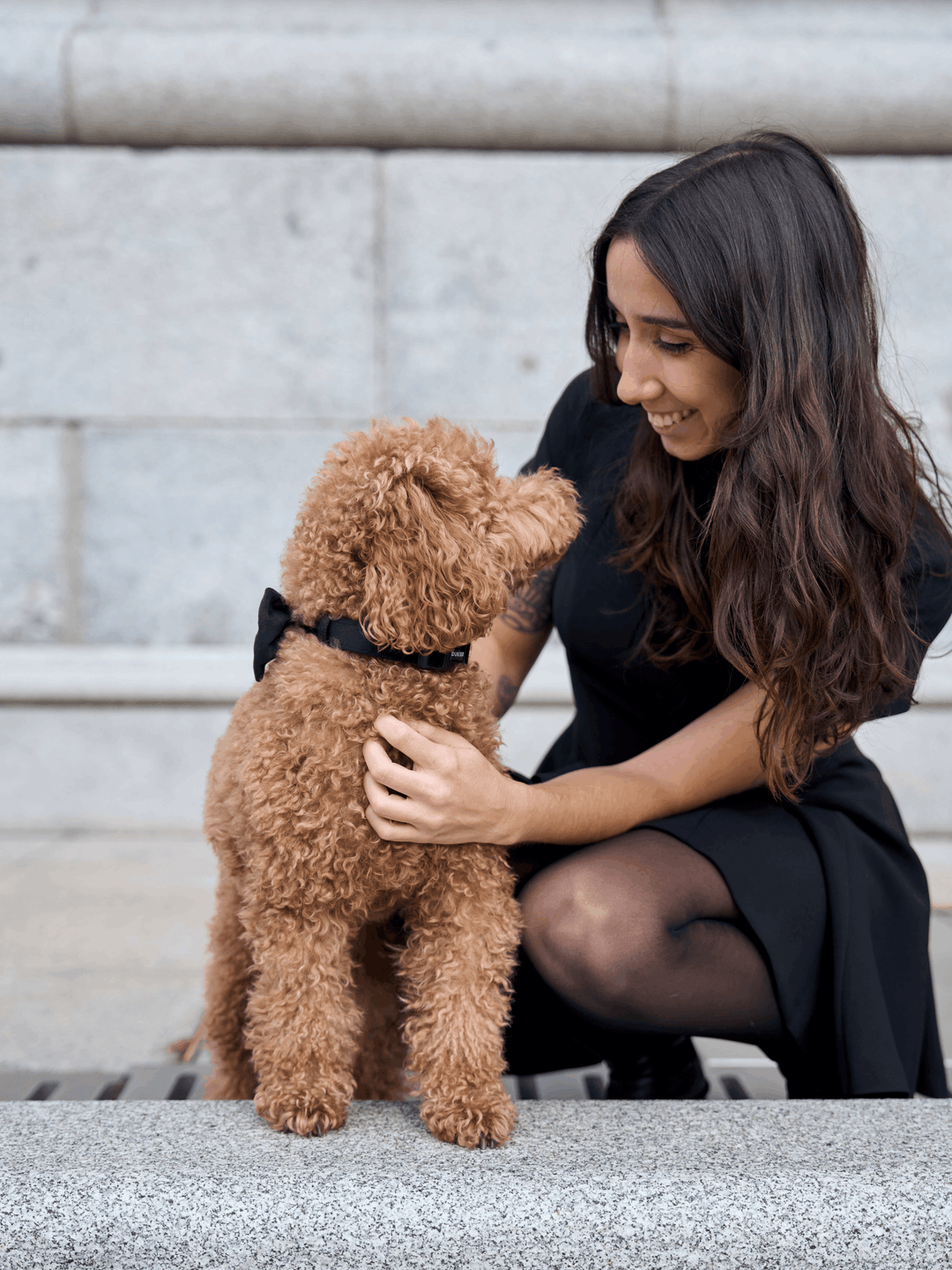 COLLAR PARA PERRO VELVET BLACK