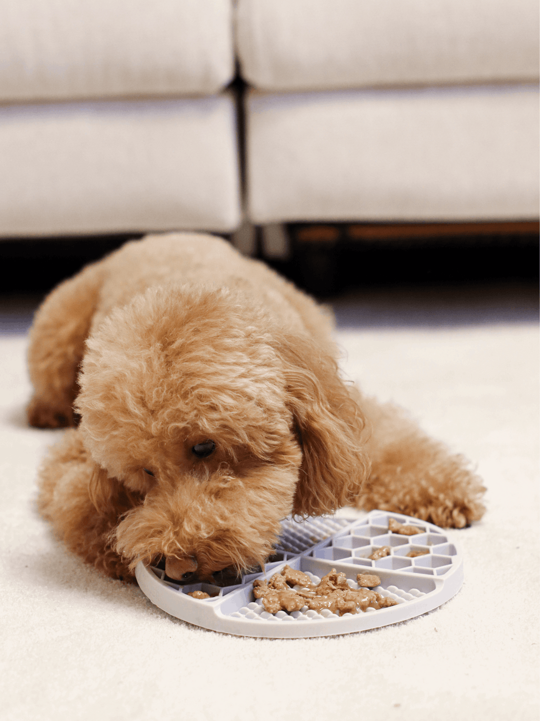 LICK MAT PARA PERRO BLUE