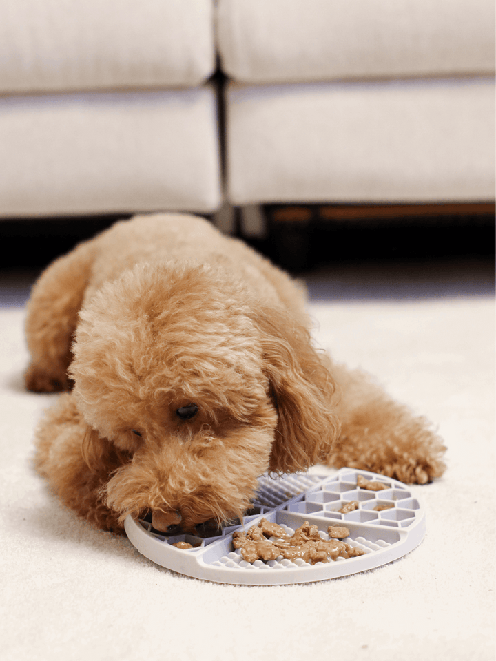 LICK MAT PARA PERRO BLUE