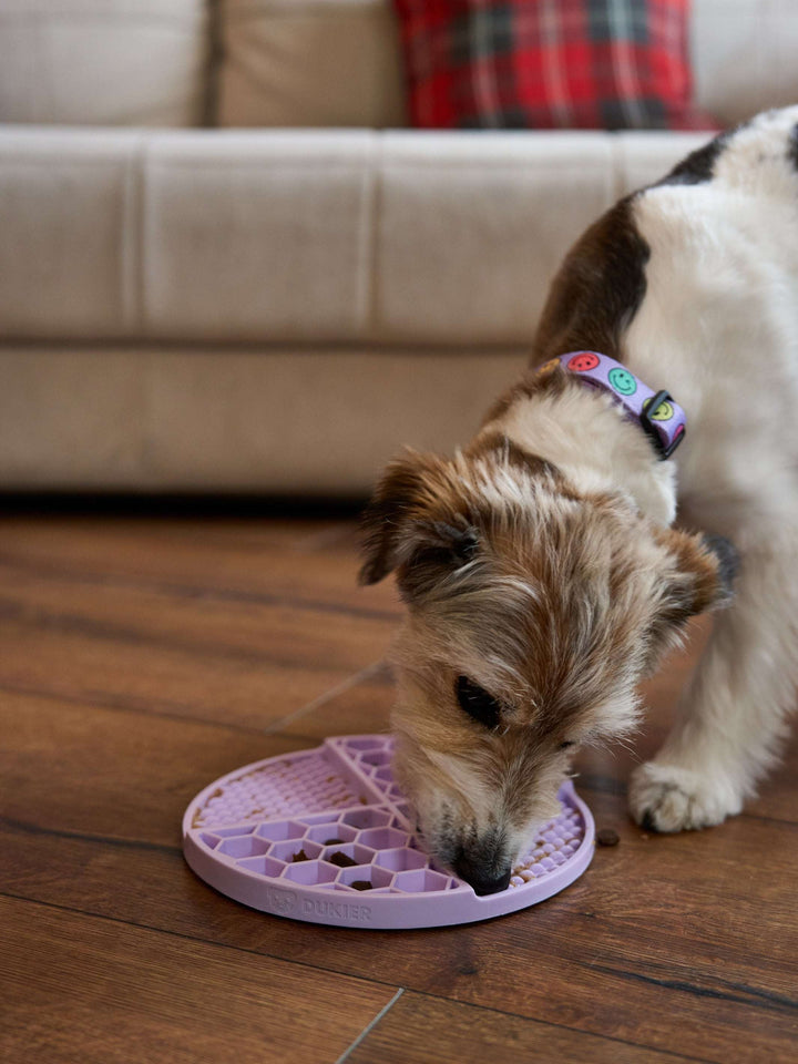 LICK MAT PARA PERRO PURPLE