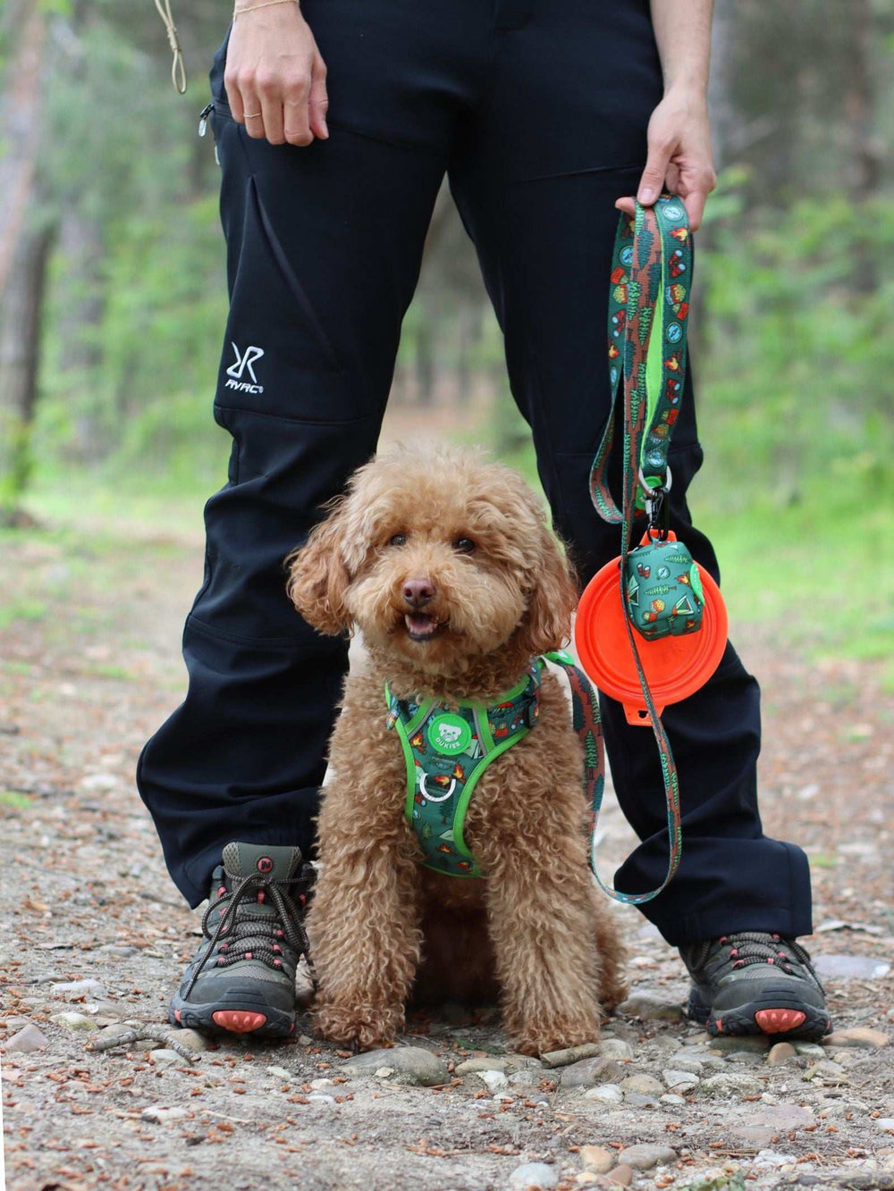 CORREA PARA PERRO SCOUTS