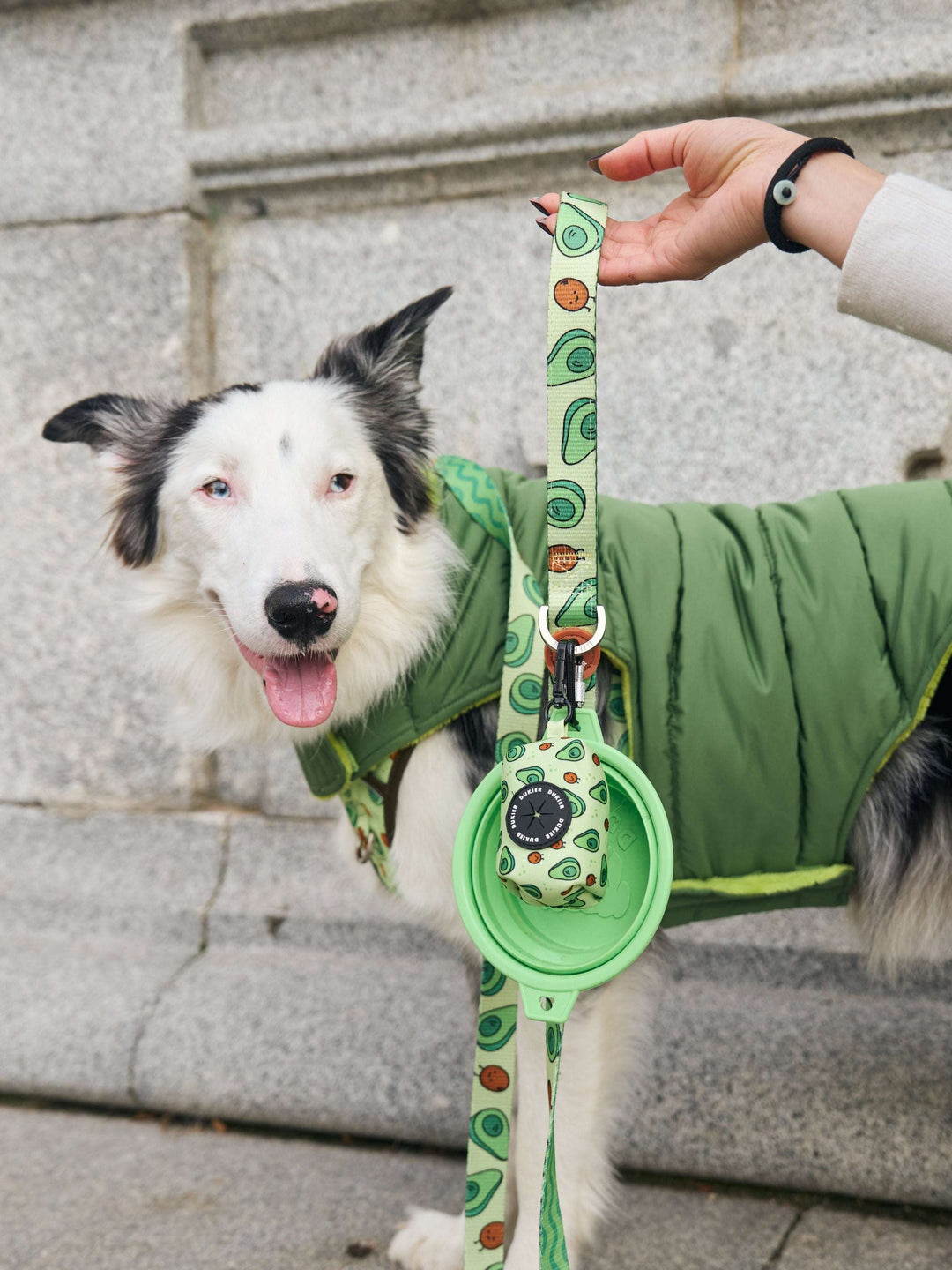 ABRIGO PARA PERRO GREEN