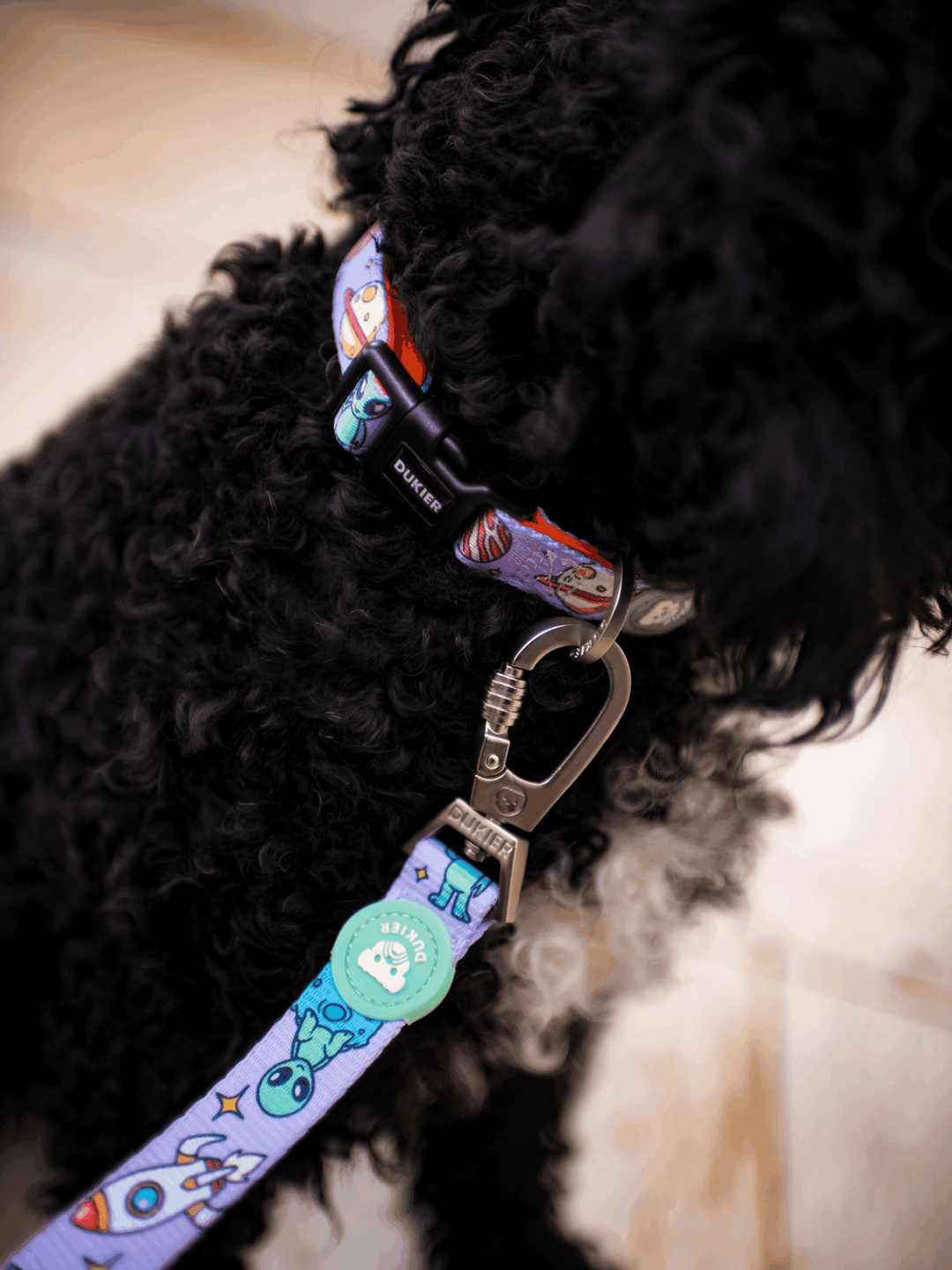 CORREA PARA PERRO ALIEN