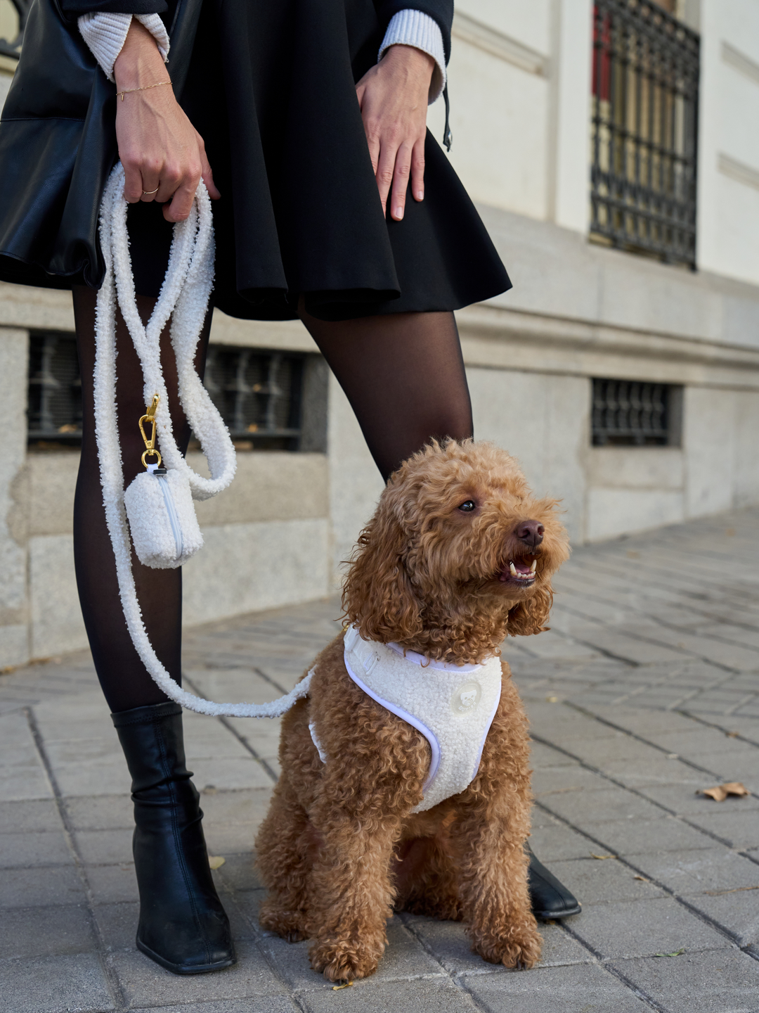 TEDDY RED ADJUSTABLE DOG HARNESS