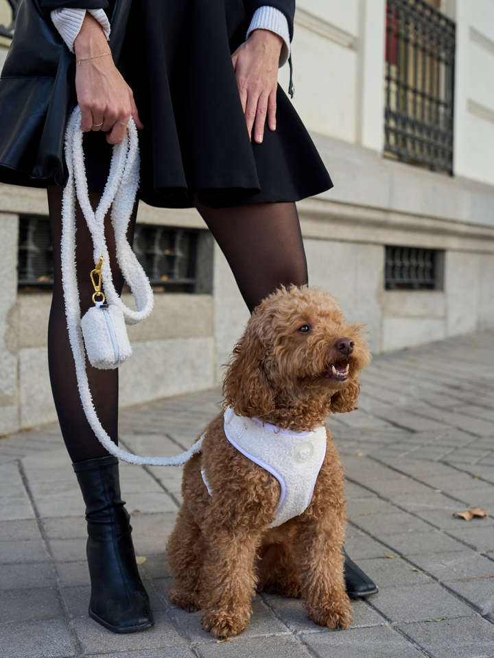 TEDDY RED ADJUSTABLE DOG HARNESS