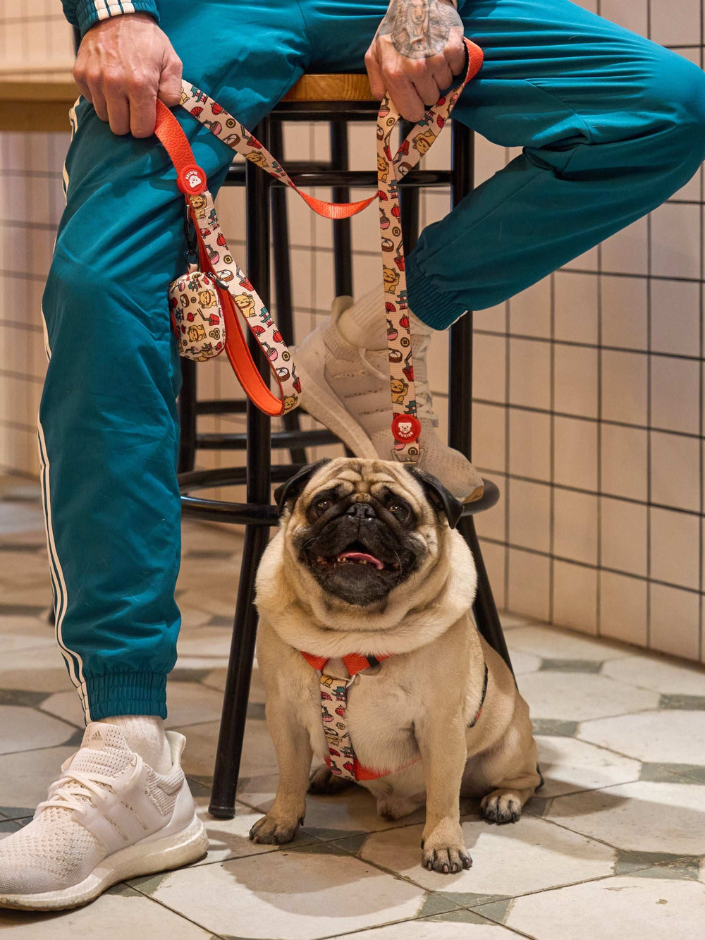 ARNÉS CLÁSICO PARA PERRO ASIAN