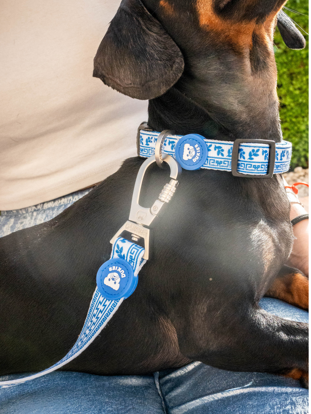 COLLARE PER CANI GREECE