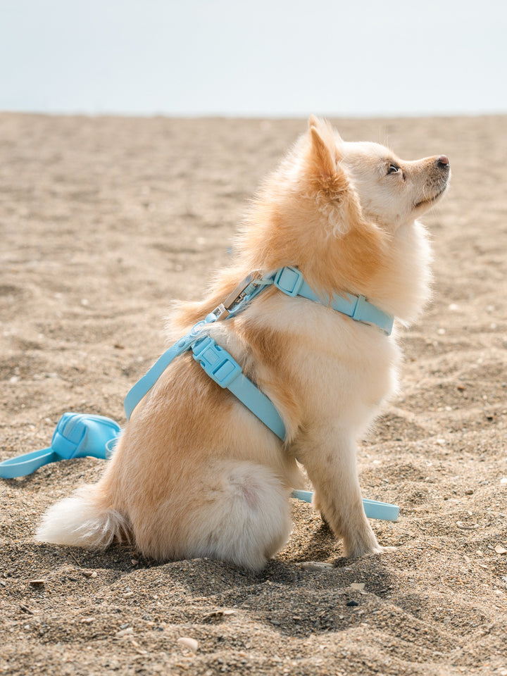 SKY BLUE WATERPROOF DOG HARNESS