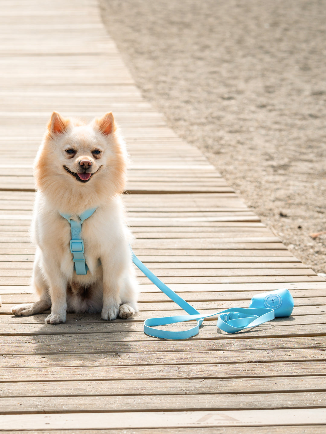 SKY BLUE WATERPROOF DOG LEASH