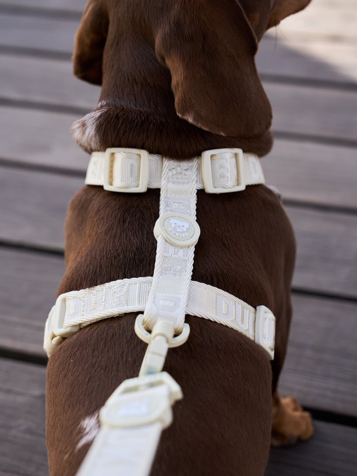 KLASSISCHES HUNDEGESCHIRR BEIGE