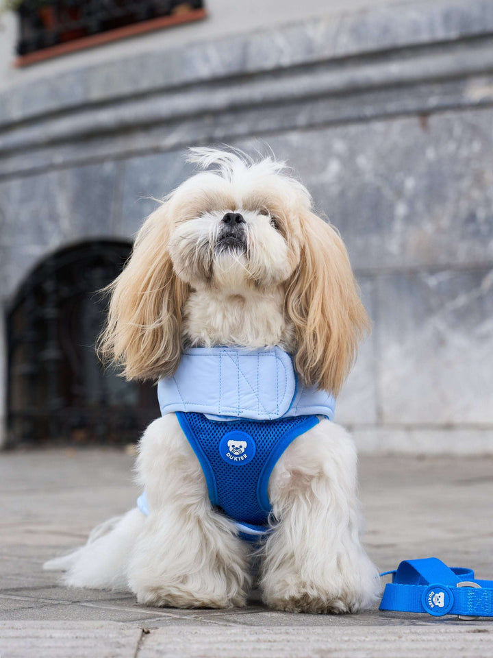 ABRIGO PARA PERRO BLUE