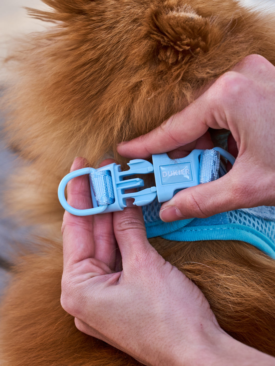 ARNÊS BODY PARA CÃES SOFT BLUE
