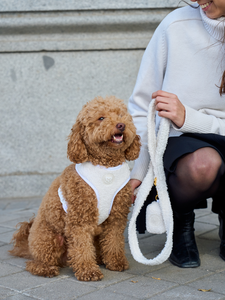 TEDDY RED ADJUSTABLE DOG HARNESS