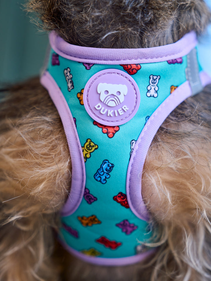 PETTORINA PER CANE BODY GUMMY BEARS