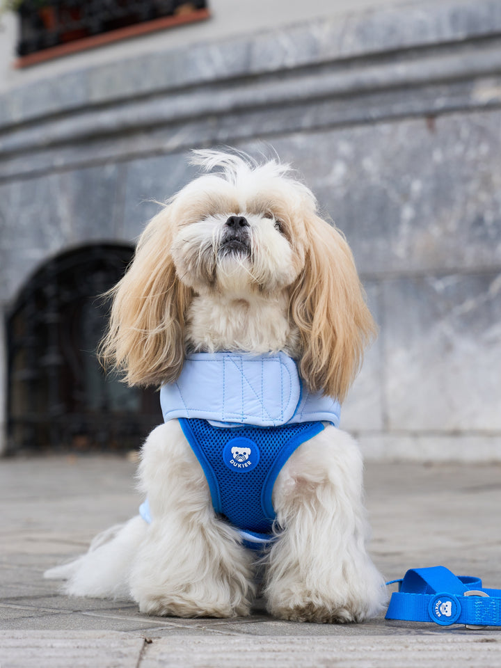 DOG COAT BLUE