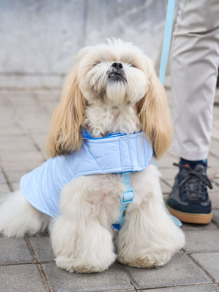 ABRIGO PARA PERRO BLUE
