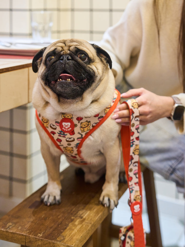 ASIAN ADJUSTABLE DOG HARNESS