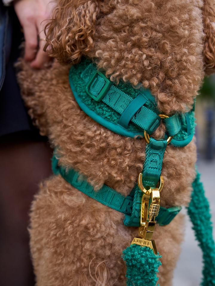 PETTORINA REGOLABILE PER CANE TEDDY RED