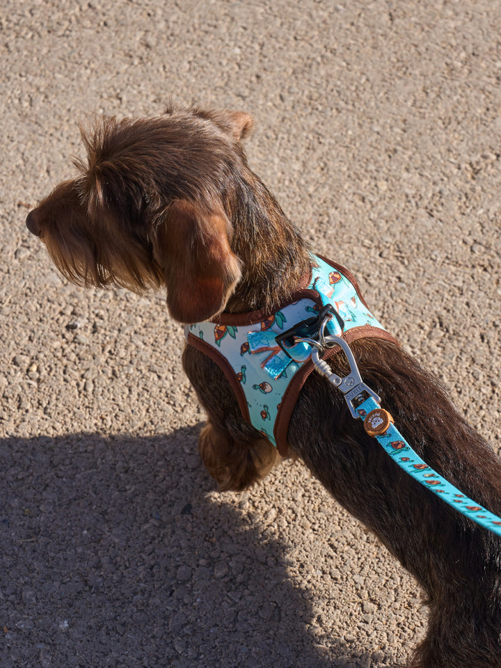DOG BODY HARNESS TURTLE