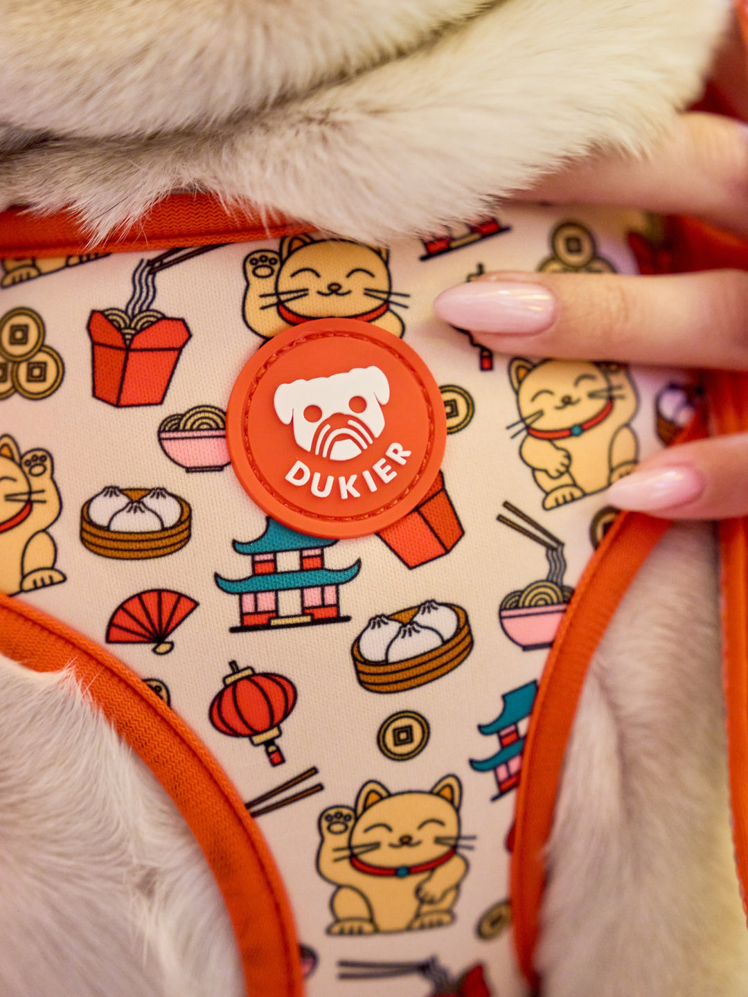 ASIAN ADJUSTABLE DOG HARNESS