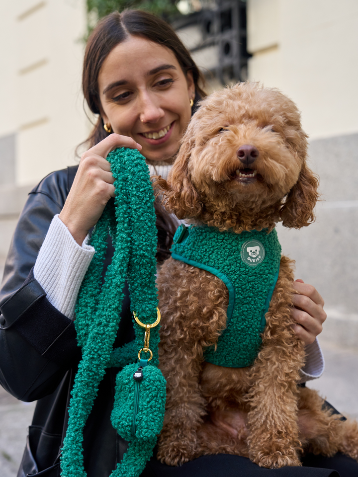 PETTORINA REGOLABILE PER CANE TEDDY RED