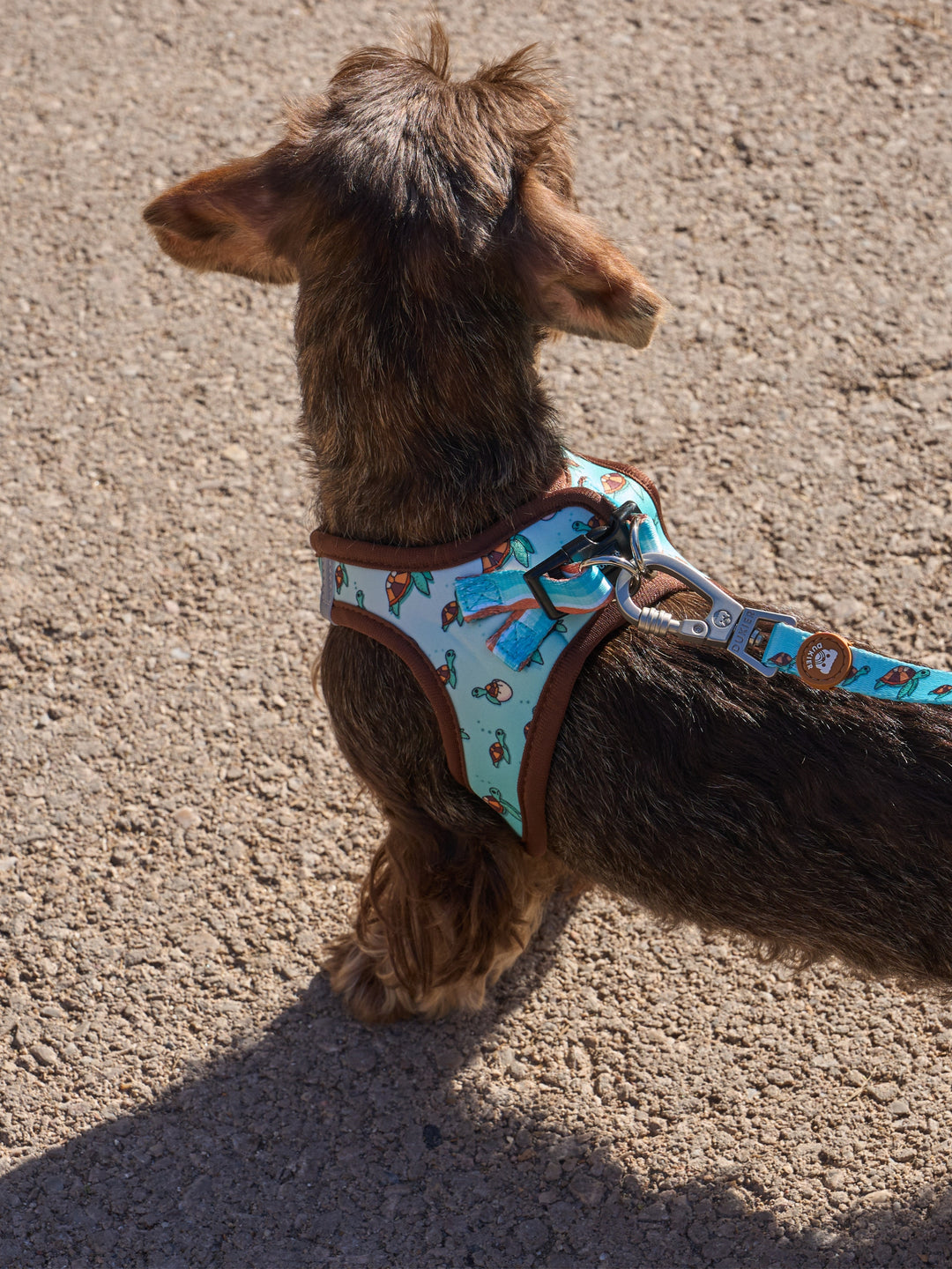 DOG BODY HARNESS TURTLE