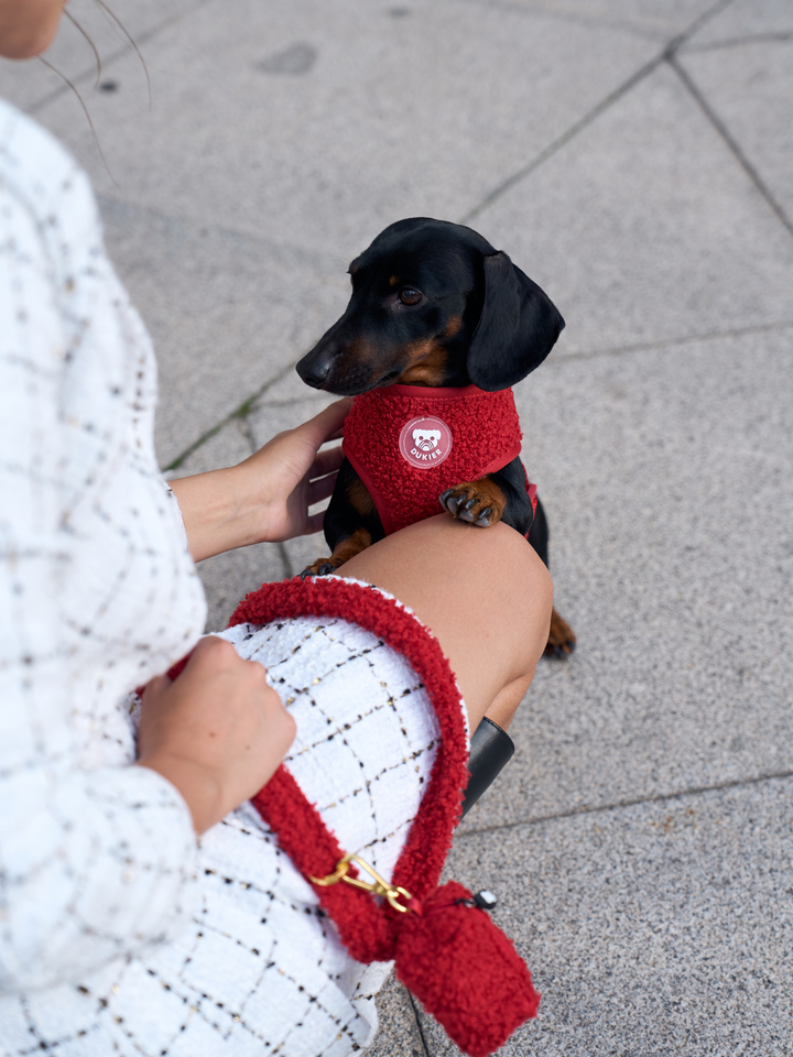 ARNÉS AJUSTABLE PARA PERRO TEDDY RED