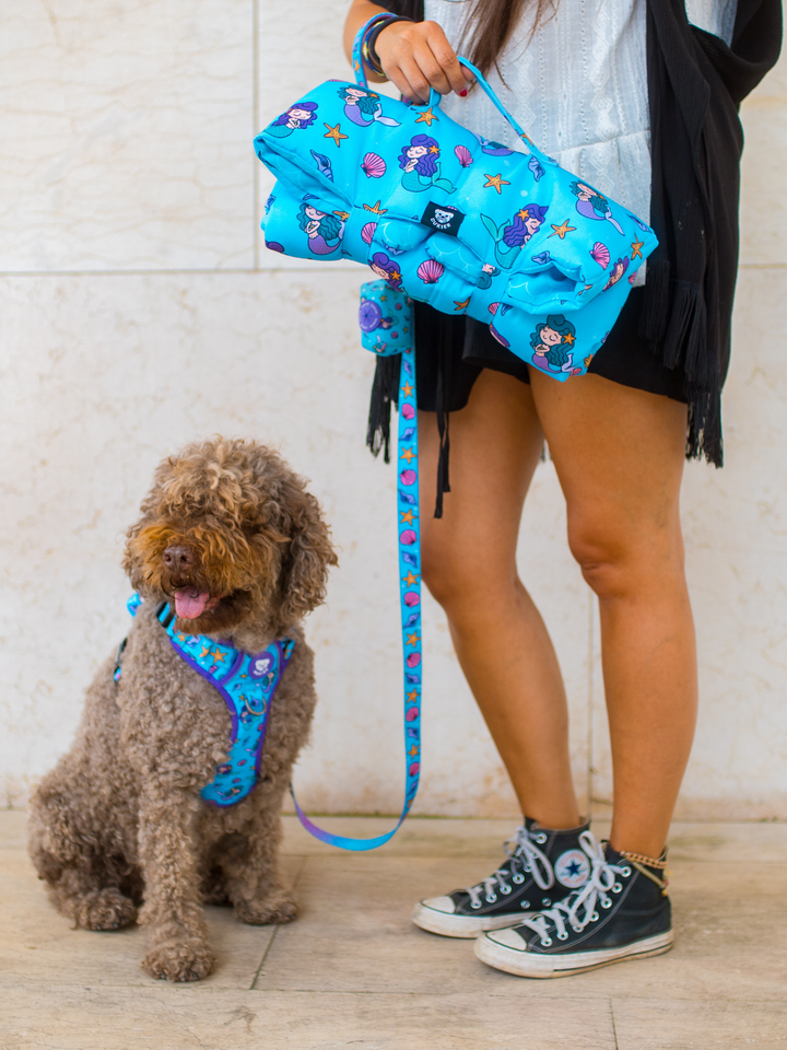 ARNES TRAIL PARA PERRO MERMAID