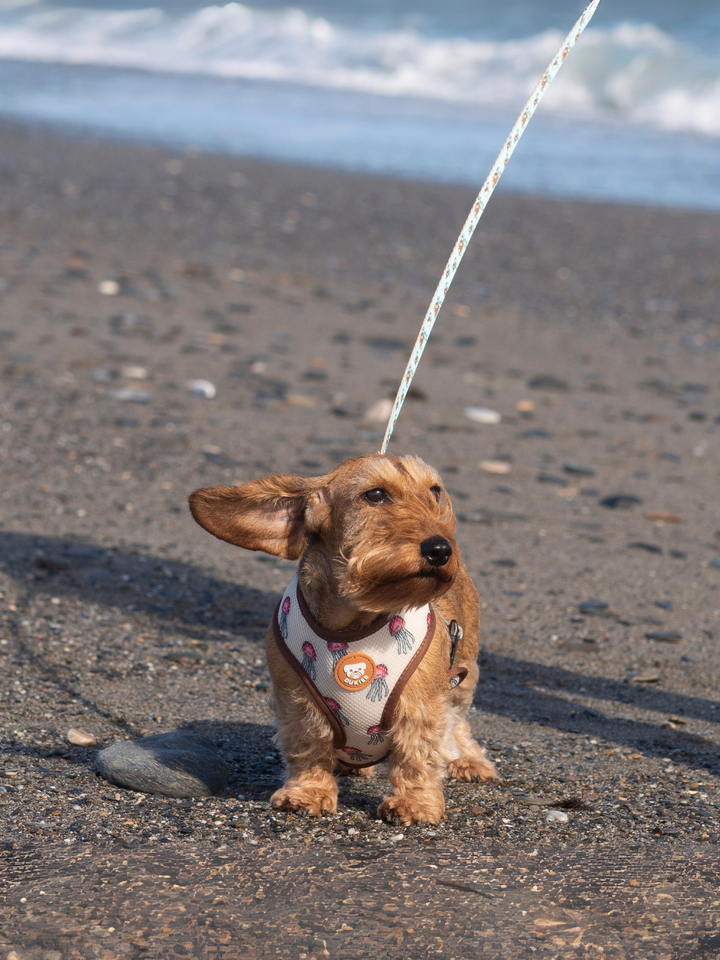 TURTLE REVERSIBLE DOG HARNESS