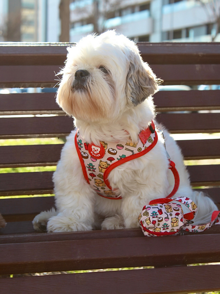 ASIAN ADJUSTABLE DOG HARNESS