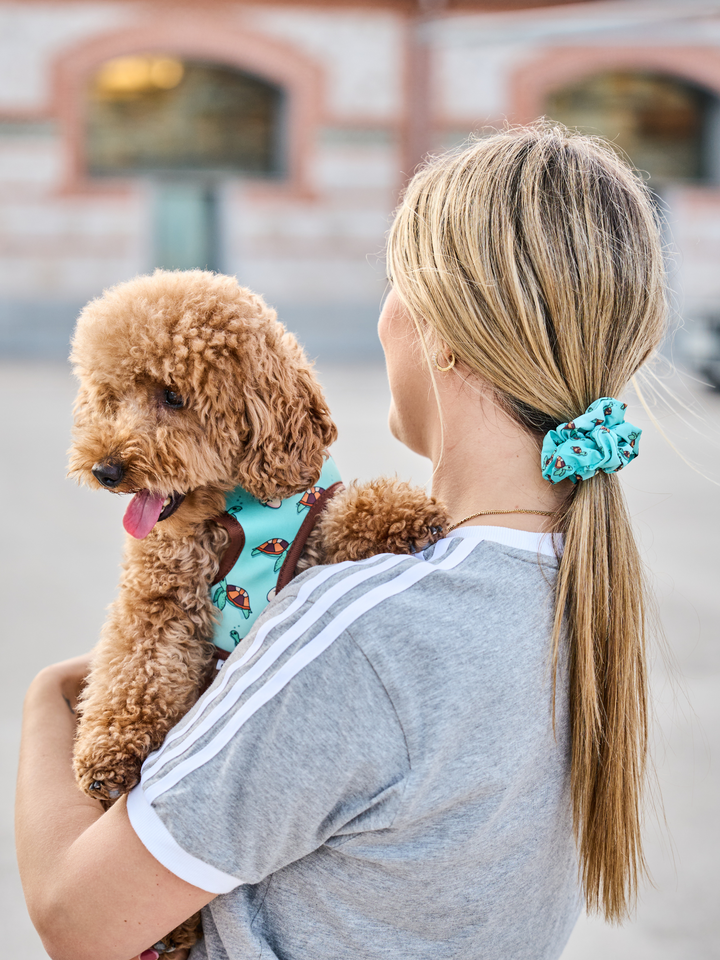 SCRUNCHIE: TURTLE