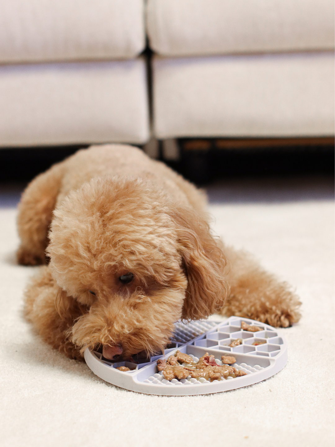LICK MAT PARA PERRO BLUE