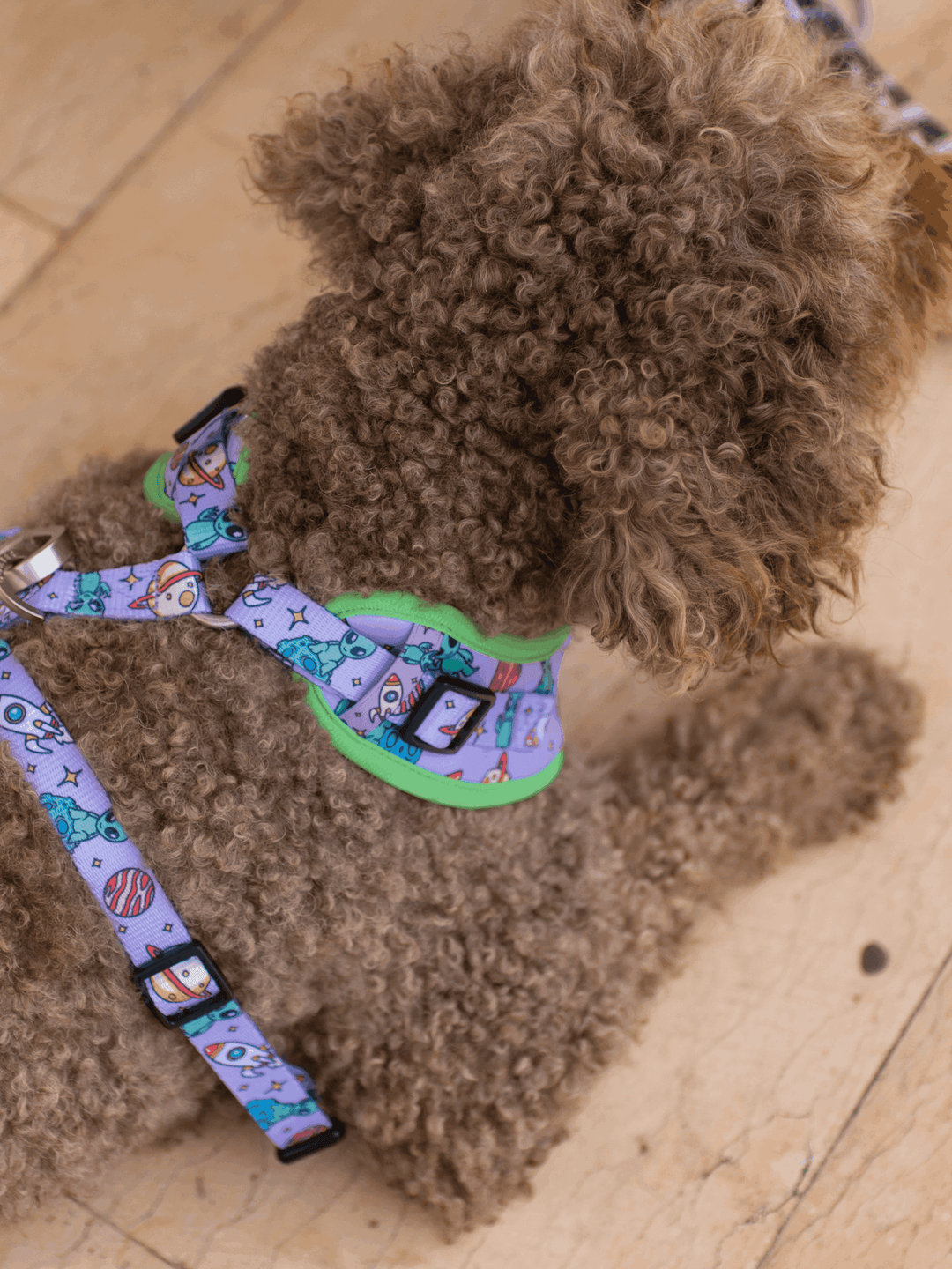 ARNES AJUSTABLE PARA PERRO ALIEN