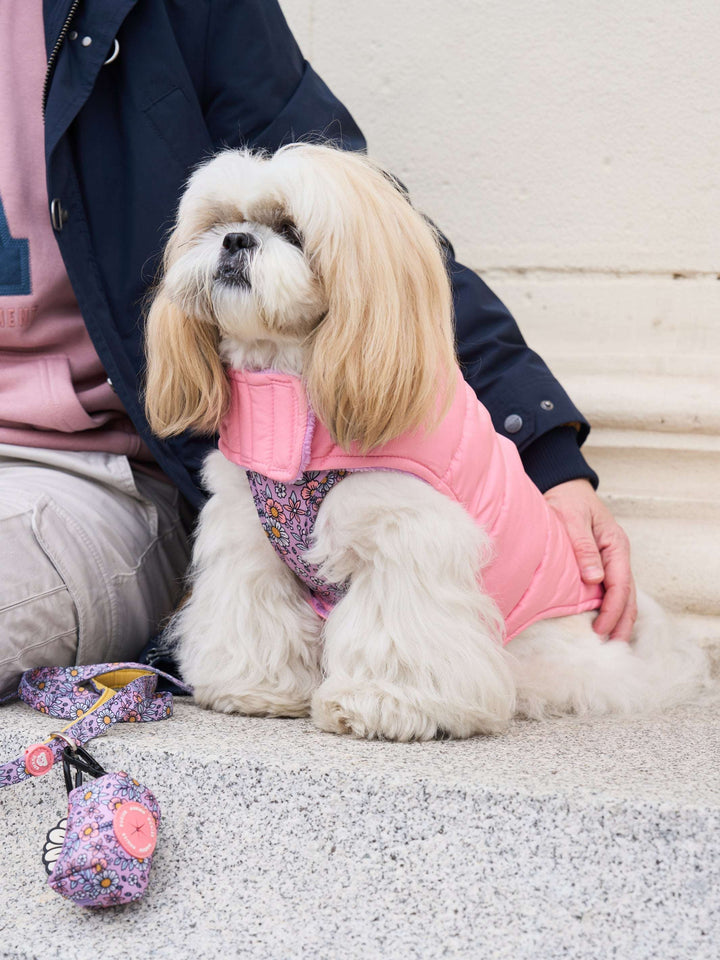 ABRIGO PARA PERRO PINK