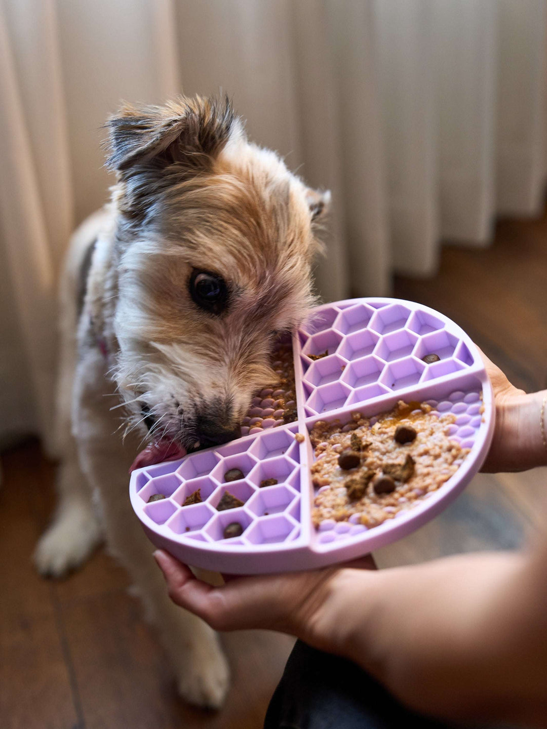 LICK MAT PARA PERRO PURPLE