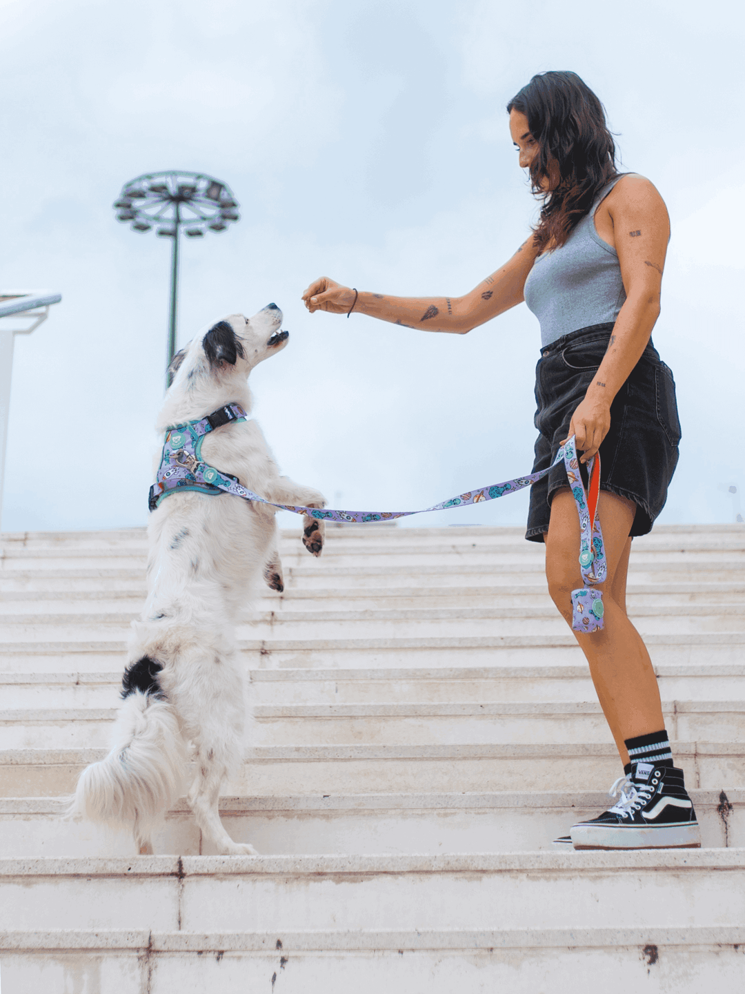ARNES TRAIL PARA PERRO ALIEN
