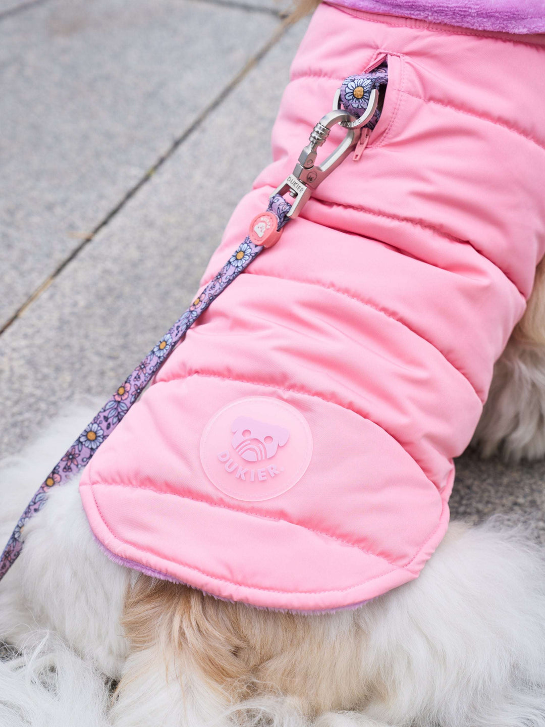 DUKIER DOG COAT PINK – Dukier - Main Image