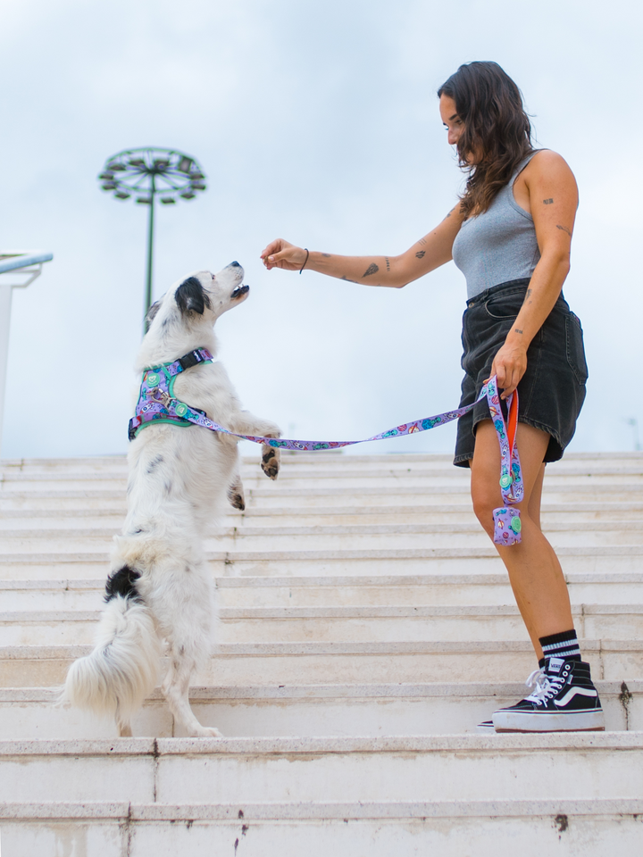 ARNES TRAIL PARA PERRO ALIEN