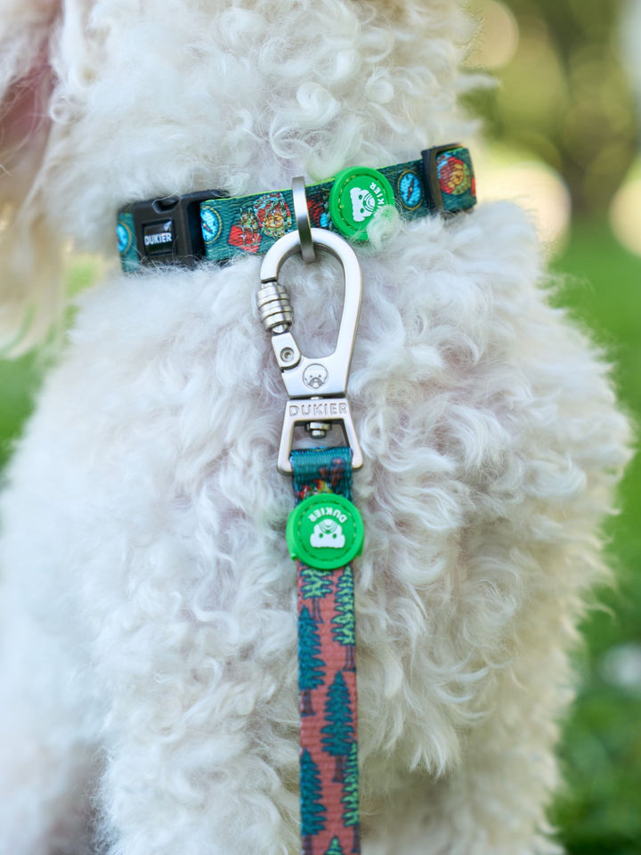 COLLIER SCOUTS POUR CHIEN