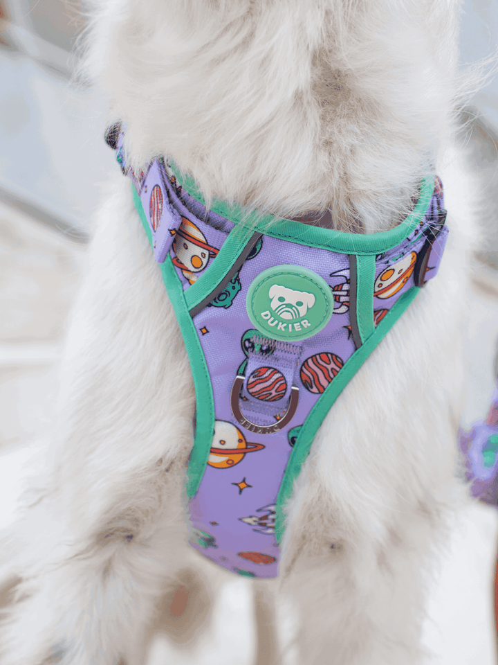 ARNES TRAIL PARA PERRO ALIEN
