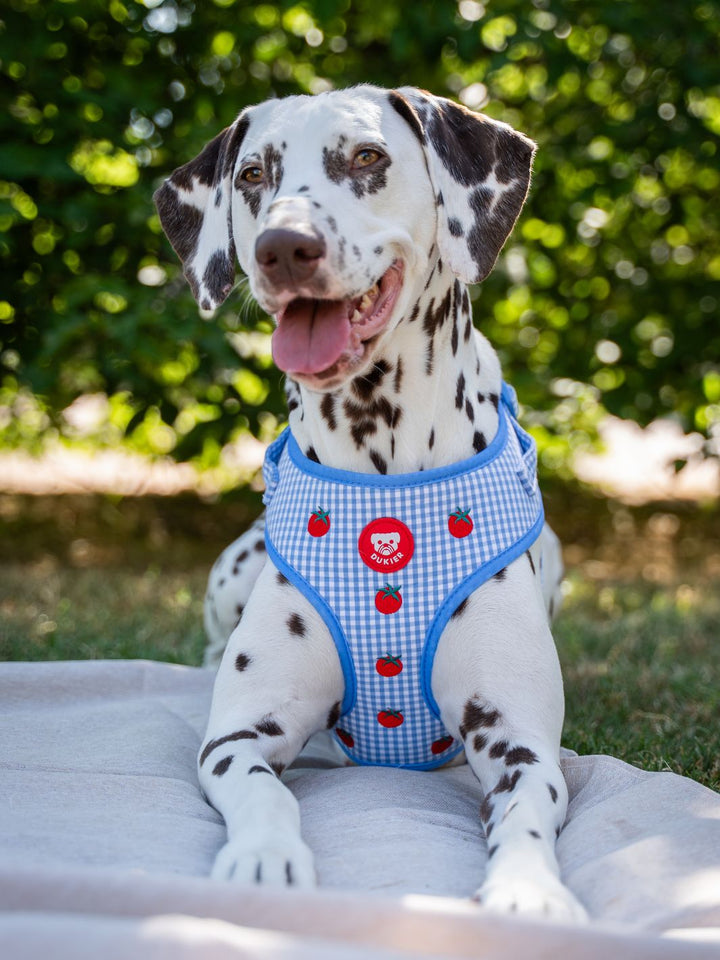 ADJUSTABLE DOG HARNESS TOMATOES