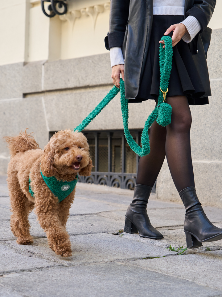 TEDDY GREEN POO BAG HOLDER