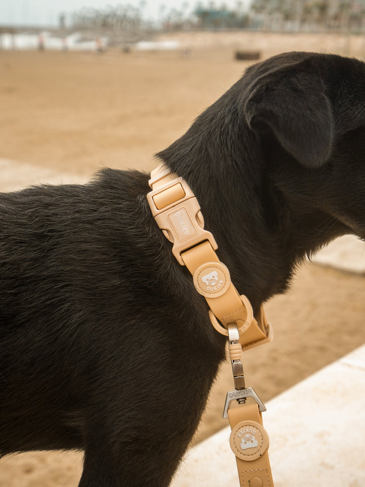 BEIGE WATERPROOF DOG COLLAR