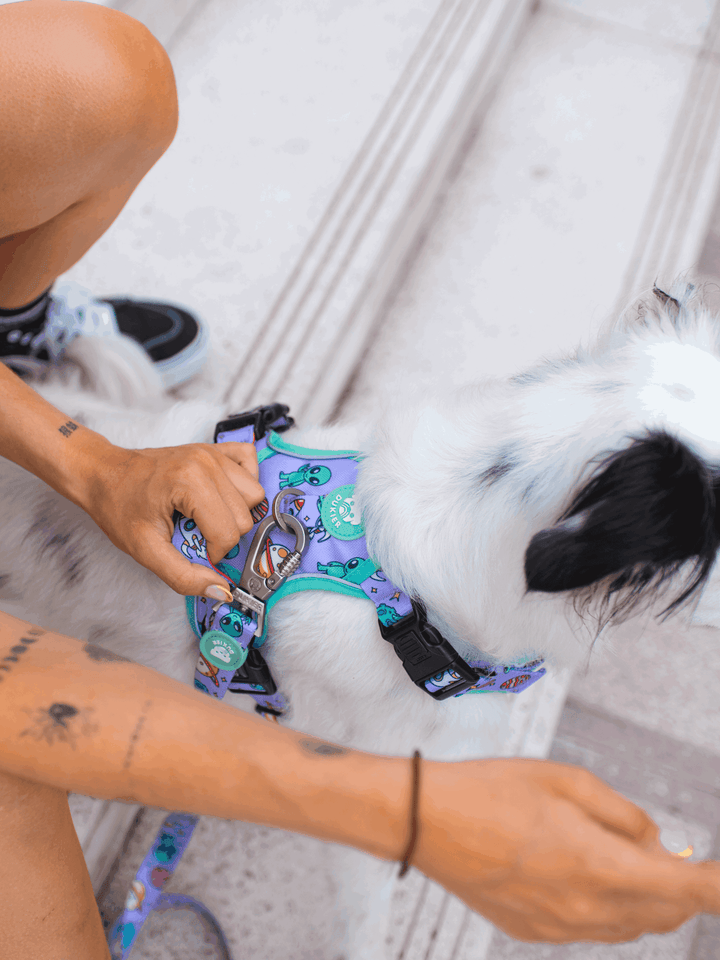 ARNES TRAIL PARA PERRO ALIEN